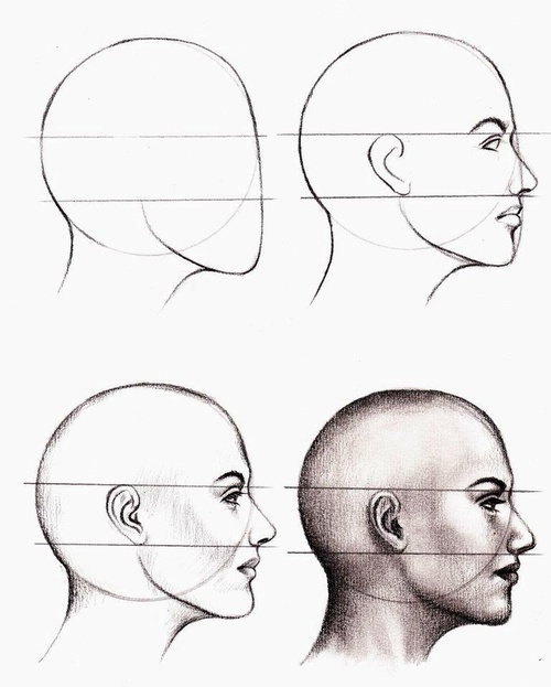 Product picture Guide How To Draw A person Faceanime Step By Step